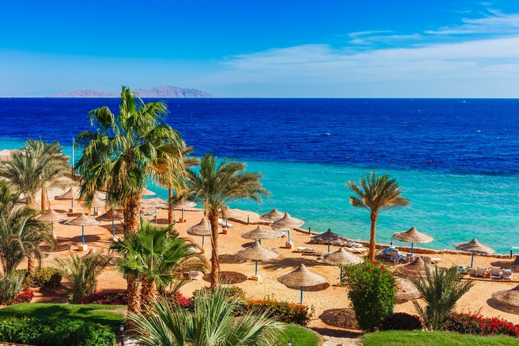 Egypte - Mer Rouge - Sharm El Sheikh - Hotel Amphoras Beach 5*