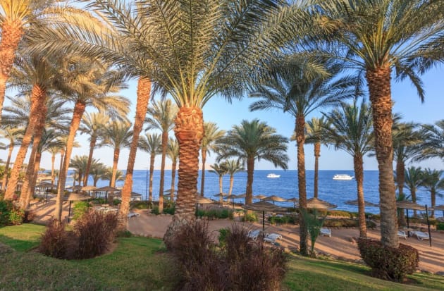 Egypte - Mer Rouge - Sharm El Sheikh - Hotel Grand Rotana Resort & Spa 5*