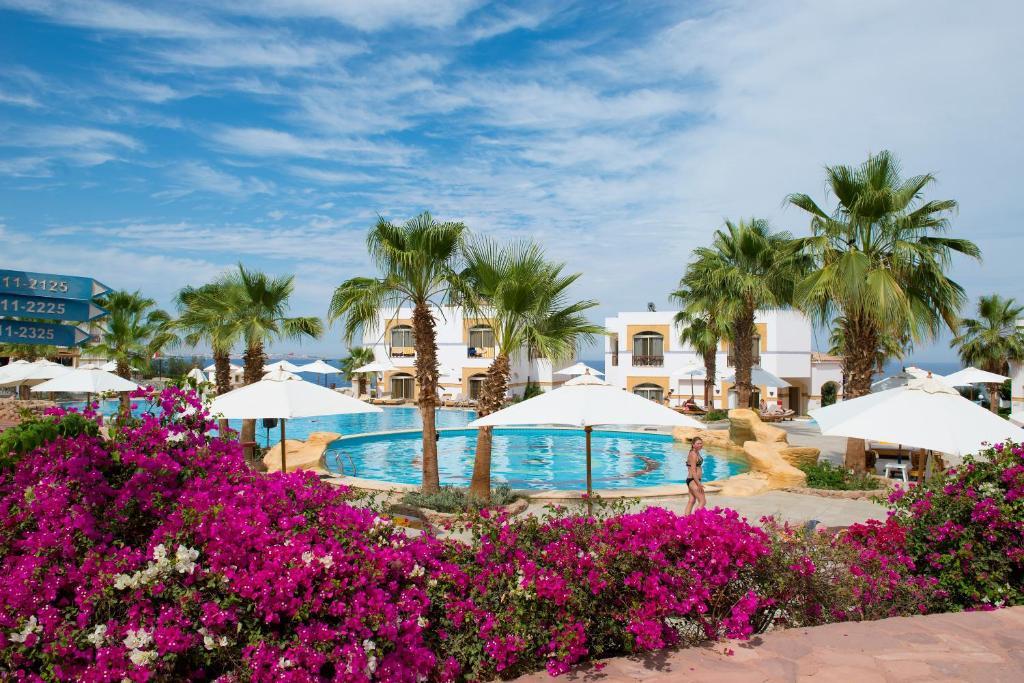 Egypte - Mer Rouge - Sharm El Sheikh - Hotel Amphoras Blu 4*