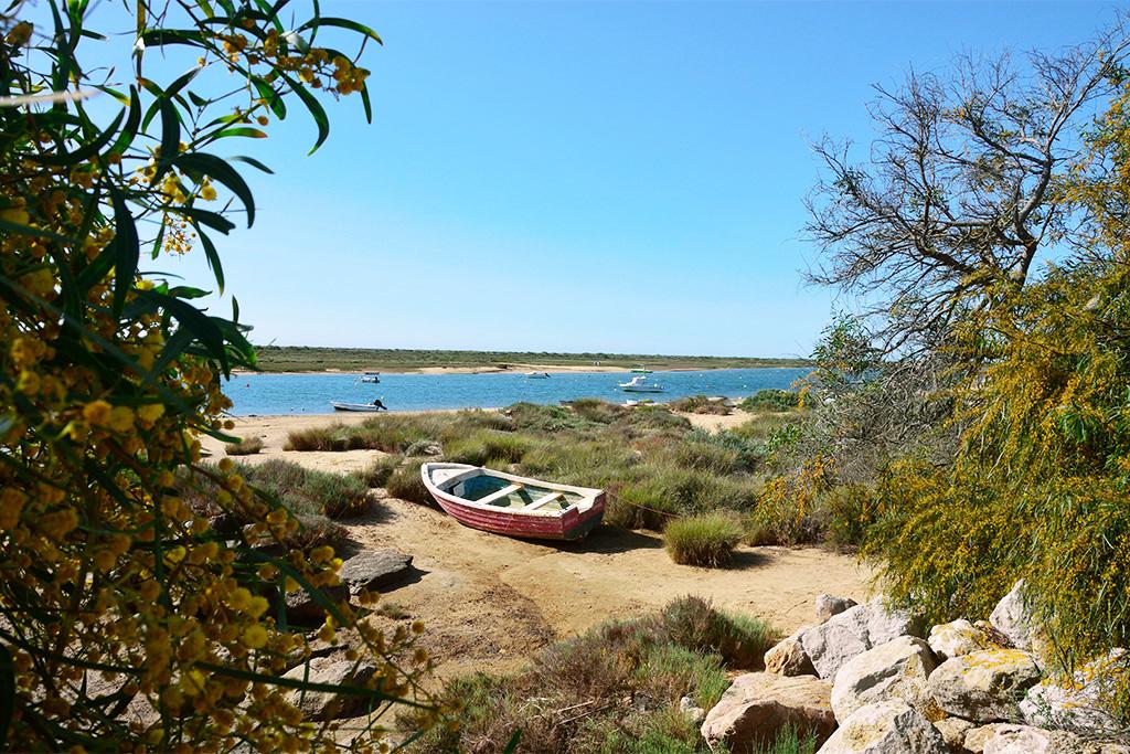 Portugal - Algarve - Faro - Hotel AP Cabanas Beach & Nature  4* - Adult Only (+14 ans)