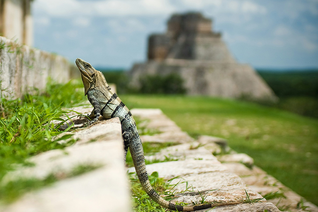 Autotour Essentiel du Yucatan et plage, Séjour Mexique, Cancun par Ôvoyages Autotour Essentiel du Yucatan et plage, Séjour Mexique, Cancun par Ôvoyages