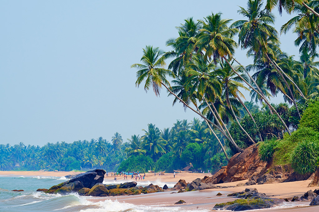 Circuit Balade Sri Lankaise en privatif 4* & dusitD2 Feydhoo Maldives 5* by Ôvoyages