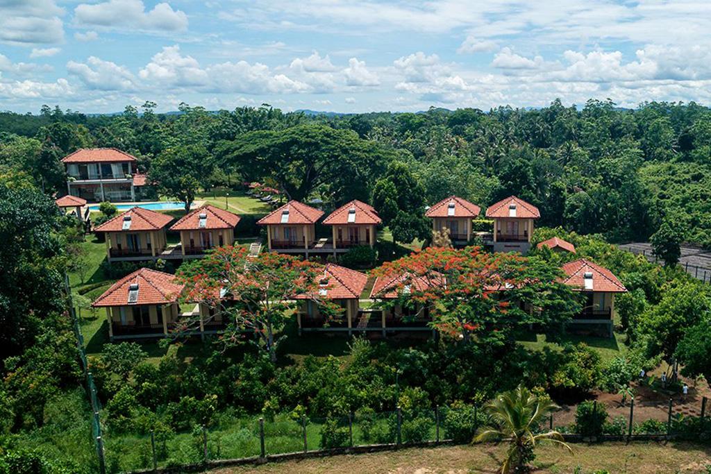 Circuit Privatif Balade Sri Lankaise 4* & Séjour bien-être Ayurvédique, Combiné Sri Lanka par Ôvoyages Circuit Privatif Balade Sri Lankaise 4* & Séjour bien-être Ayurvédique, Combiné Sri Lanka par Ôvoyages