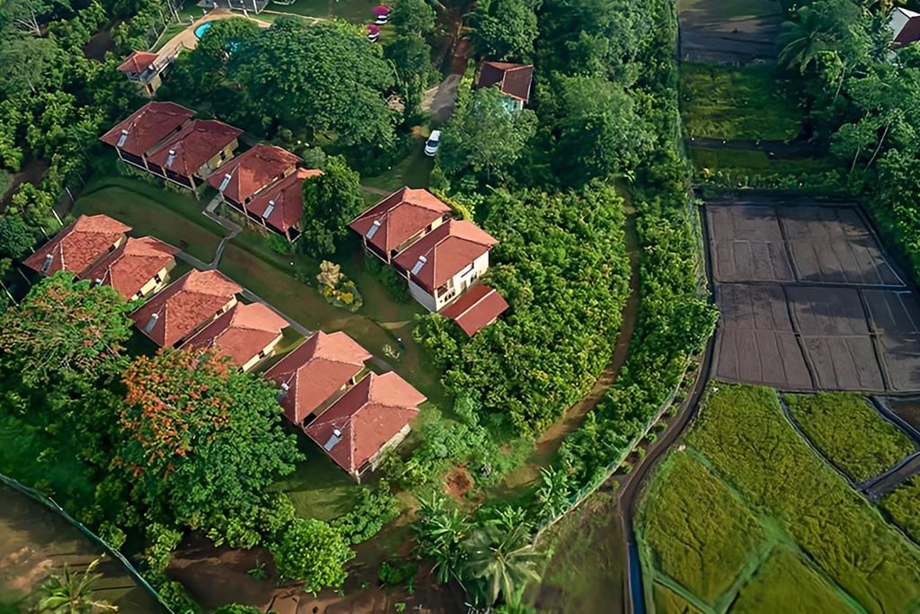 Circuit Privatif Balade Sri Lankaise 4* & Séjour bien-être Ayurvédique, Combiné Sri Lanka par Ôvoyages Circuit Privatif Balade Sri Lankaise 4* & Séjour bien-être Ayurvédique, Combiné Sri Lanka par Ôvoyages