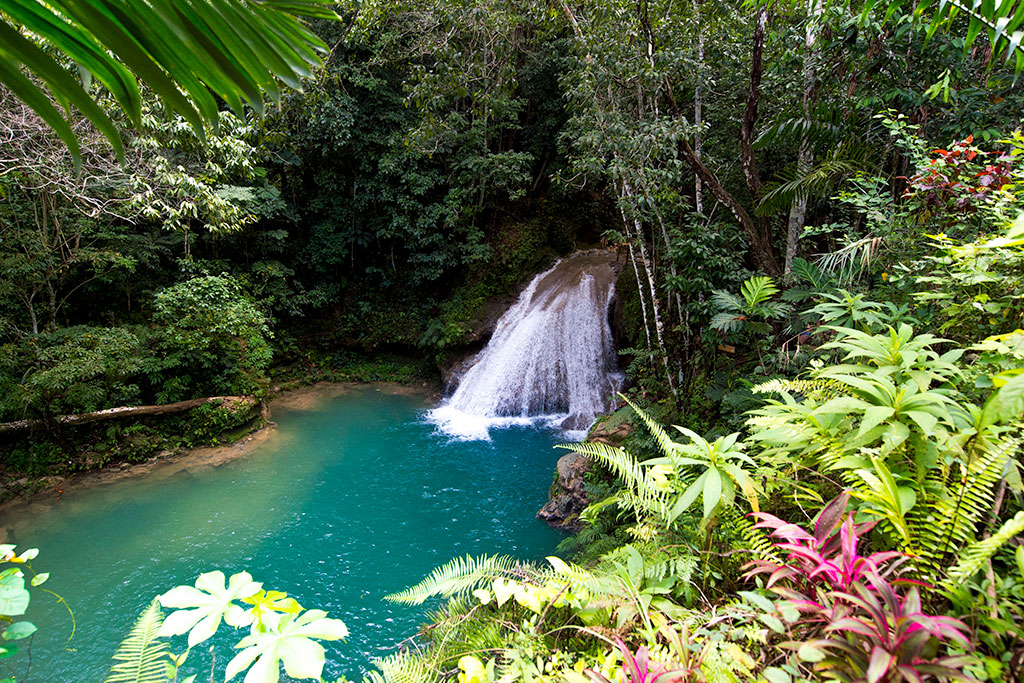 Riu Ocho Rios 5*, Séjour Jamaïque par Ôvoyages