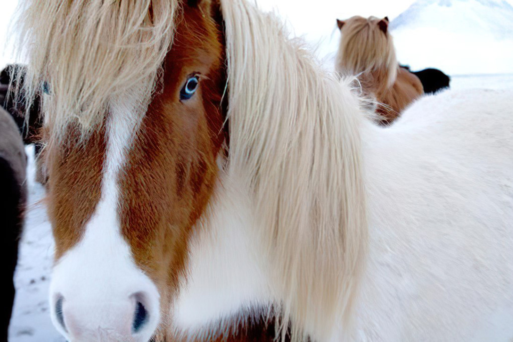 City Break 4 nuits - Aventures et aurores boréales by Ôvoyages, Séjour Islande par Ôvoyages City Break 4 nuits - Aventures et aurores boréales by Ôvoyages, Séjour Islande par Ôvoyages