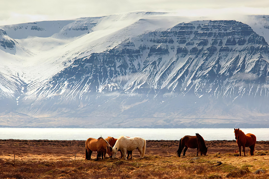 ISLANDE | 5j/4n - Reykjavík - City break « Bien-être et aurores boréales by Ôvoyages » - 3 activités incluses, Séjour Islande par Ôvoyages ISLANDE | 5j/4n - Reykjavík - City break « Bien-être et aurores boréales by Ôvoyages » - 3 activités incluses, Séjour Islande par Ôvoyages