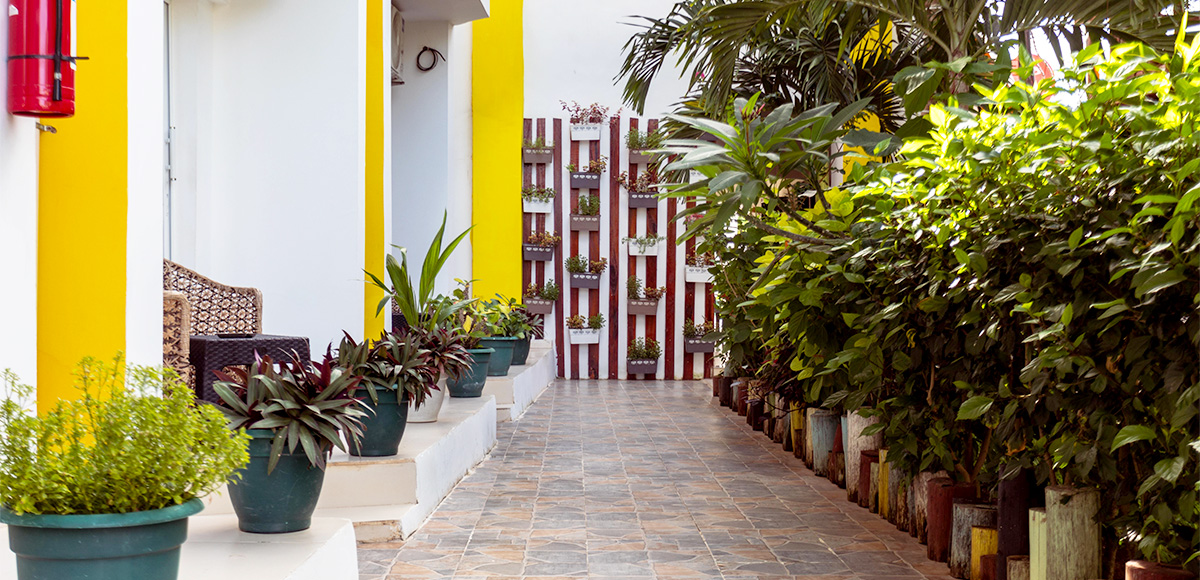 Hôtel & Spa Canary 4* + Safari 2 nuits, Séjour Tanzanie, Zanzibar par Ôvoyages