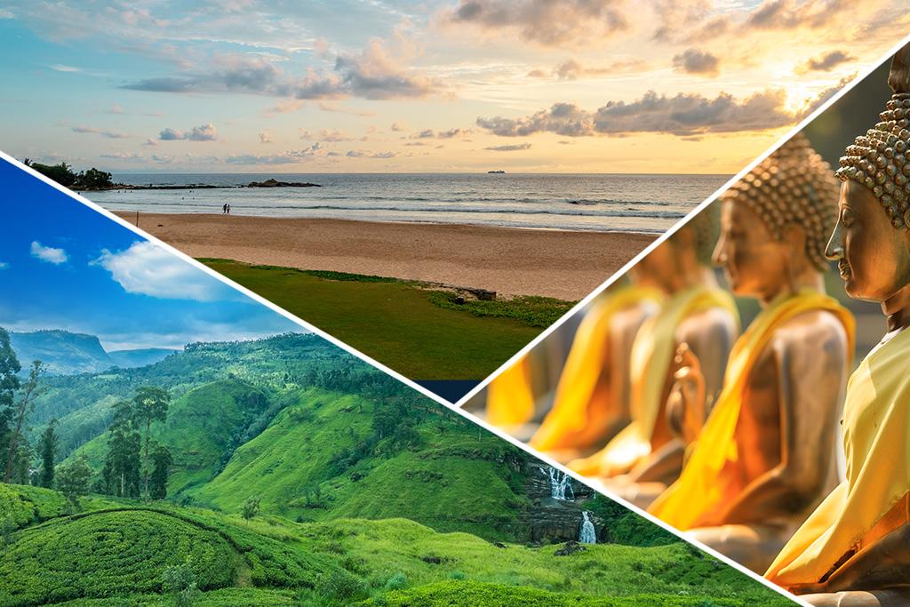 Ceylan Insolite en groupe : sport, jungle et plage