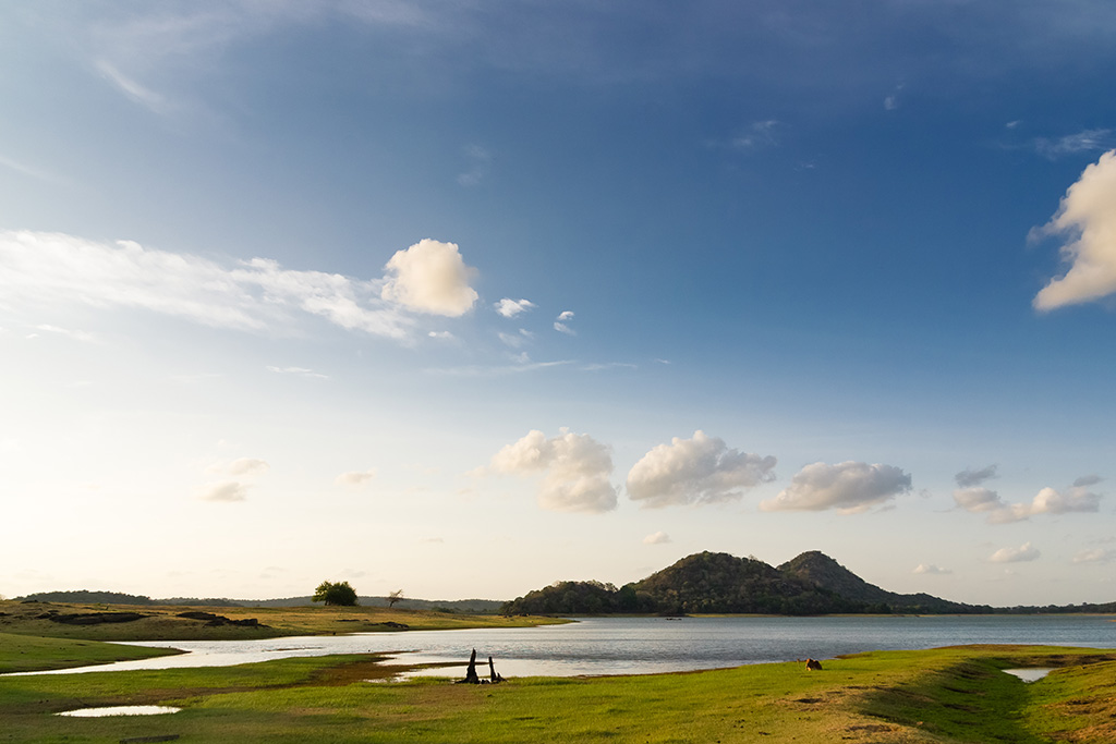 Ceylan Insolite en groupe : sport, jungle et plage