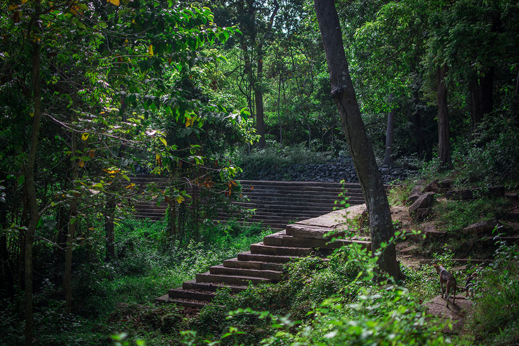 Ceylan Insolite en groupe : sport, jungle et plage, Séjour Sri Lanka par Ôvoyages