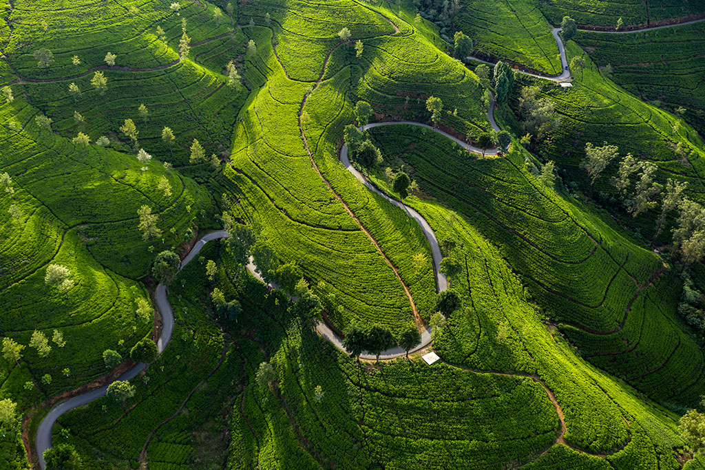 Ceylan Insolite en groupe : sport, jungle et plage, Séjour Sri Lanka par Ôvoyages