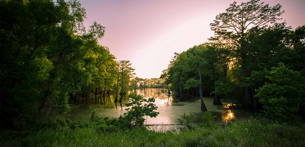 Etats-Unis - Sud des Etats-Unis - Louisiane - Circuit Coeur de la Louisiane 2* & 3*