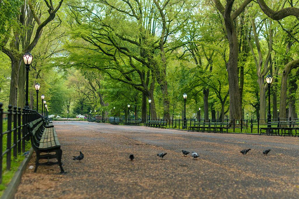 Circuit Big Apple, Séjour Etats-Unis, New York par Ôvoyages Circuit Big Apple, Séjour Etats-Unis, New York par Ôvoyages