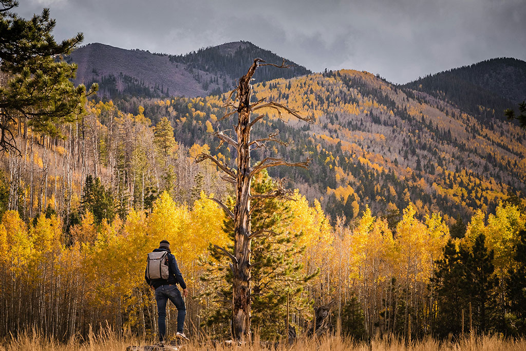 Circuit Centenaire Route 66, Circuit Etats-Unis, Côte Ouest par Ôvoyages
