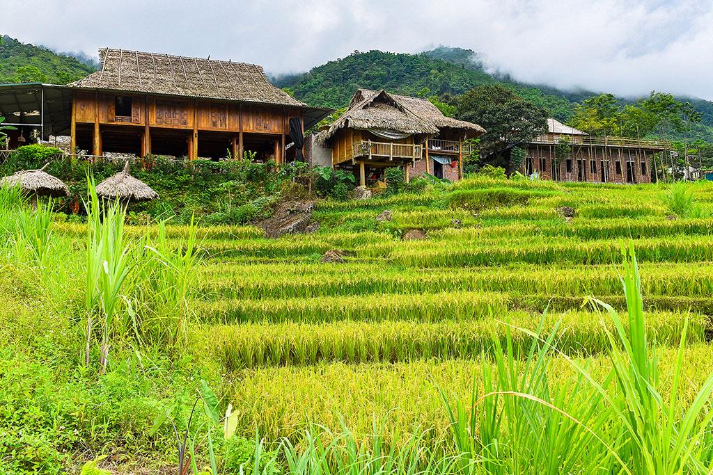 Circuit Epopée Authentique du Vietnam 19 nuits 4/5* 22 jours / 19 nuits, Circuit Vietnam par Ôvoyages Circuit Epopée Authentique du Vietnam 19 nuits 4/5* 22 jours / 19 nuits, Circuit Vietnam par Ôvoyages