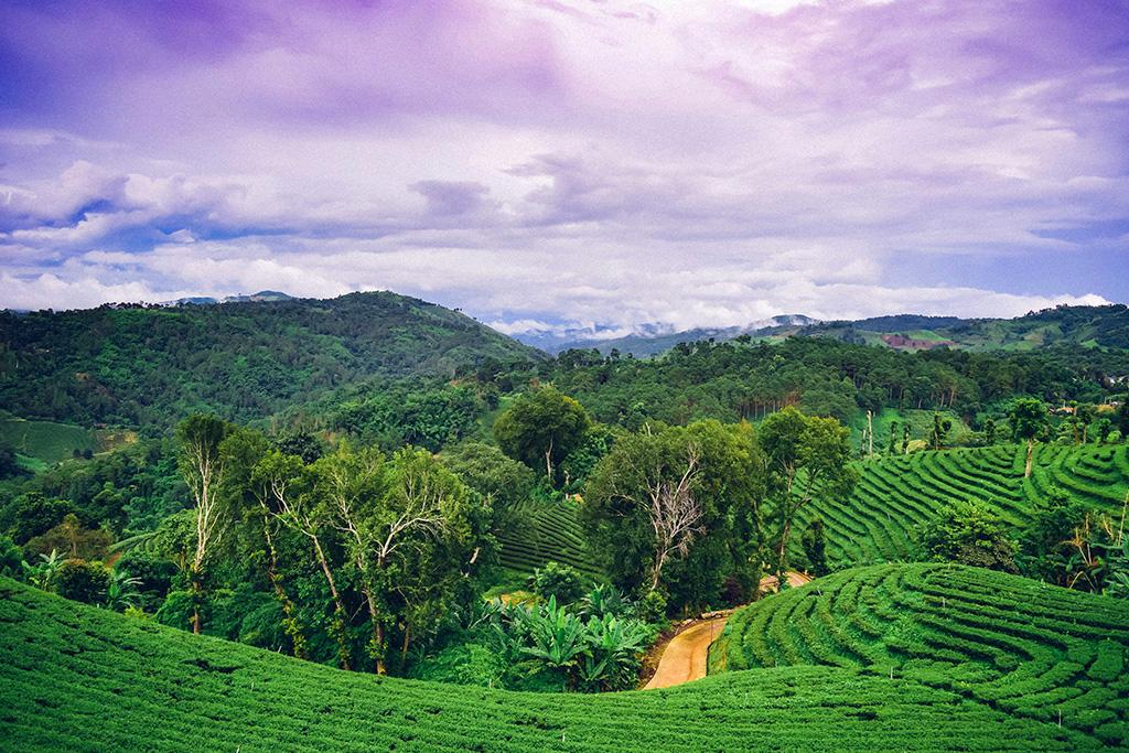 Circuit Essence de Thaïlande et plage à Koh Samet Thaïlande, Séjour Thaïlande, Bangkok par Ôvoyages