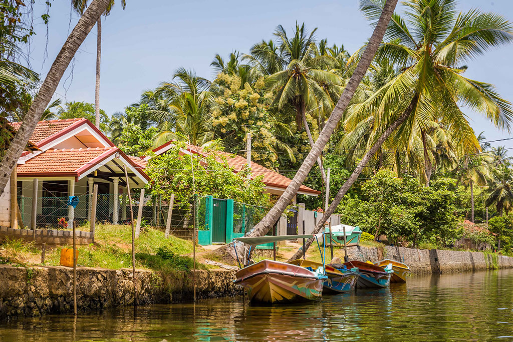 Les Incontournables du Sri Lanka et extension plages des Maldives 5* : Dusit D2 Feydhoo 5* by Ôvoyages, Séjour Maldives par Ôvoyages Les Incontournables du Sri Lanka et extension plages des Maldives 5* : Dusit D2 Feydhoo 5* by Ôvoyages, Séjour Maldives par Ôvoyages
