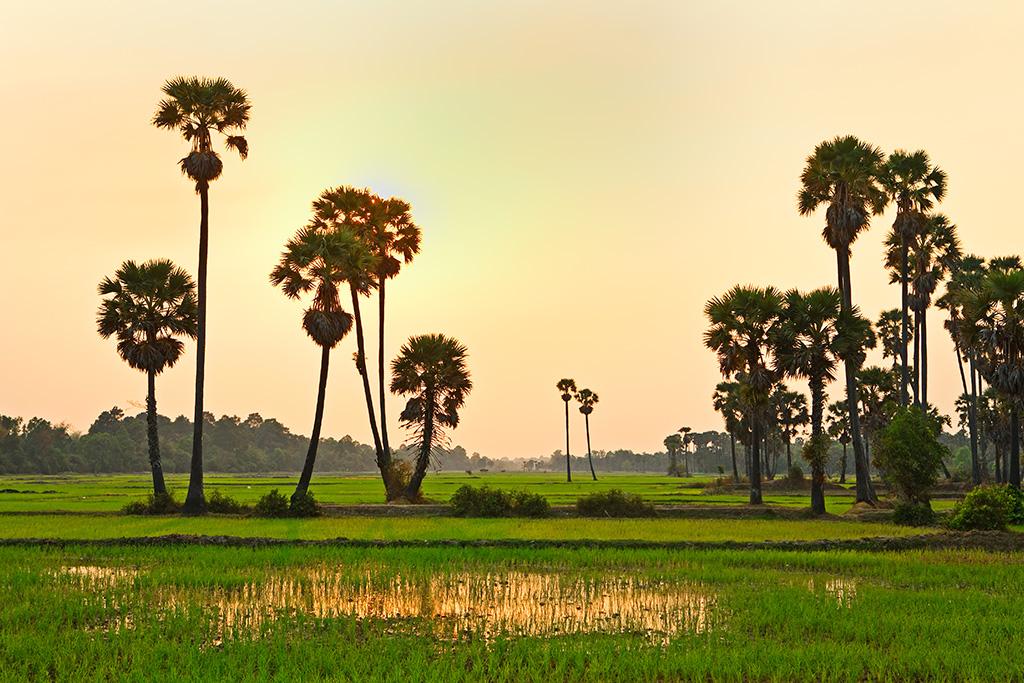 Circuit Incontournables du Nord au Sud Vietnam & Temples d'Angkor 4* & 5*, Séjour Vietnam par Ôvoyages Circuit Incontournables du Nord au Sud Vietnam & Temples d'Angkor 4* & 5*, Séjour Vietnam par Ôvoyages
