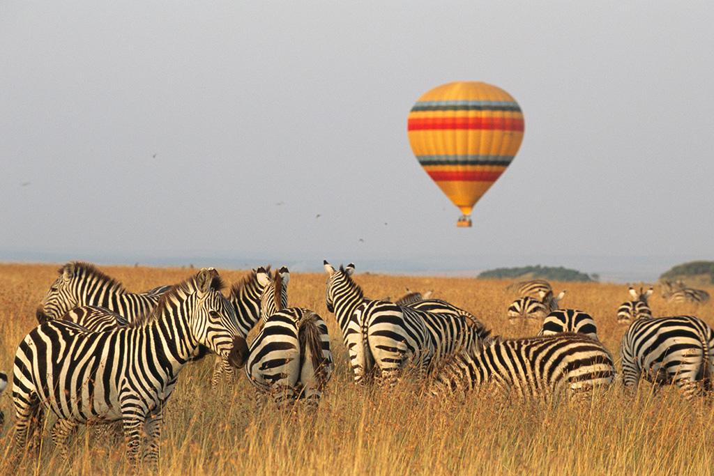 Circuit Safari Inoubliable au Kenya 4*/5*, Circuit Kenya par Ôvoyages Circuit Safari Inoubliable au Kenya 4*/5*, Circuit Kenya par Ôvoyages