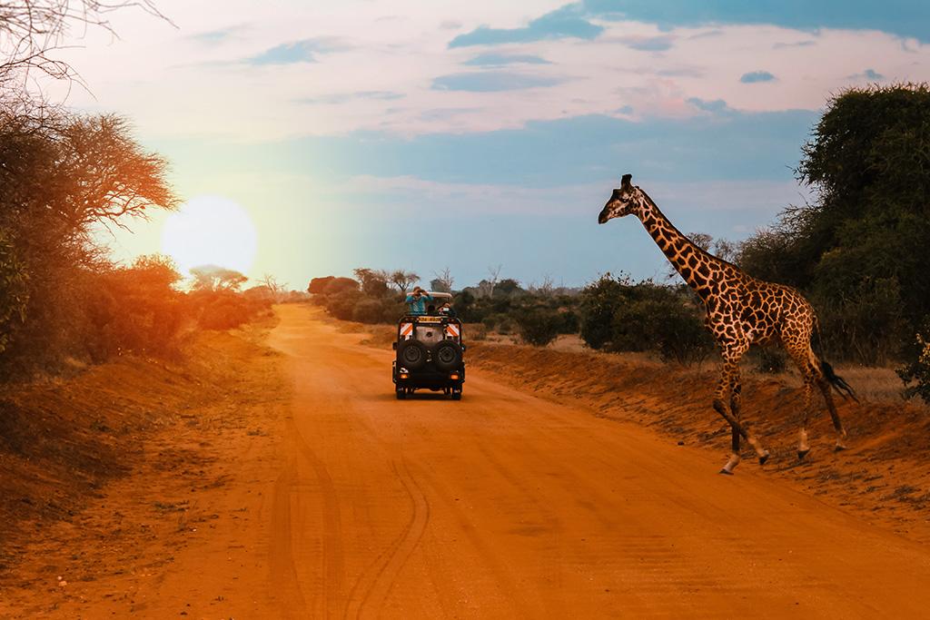 Circuit Safari Inoubliable au Kenya 4*/5*, Circuit Kenya par Ôvoyages Circuit Safari Inoubliable au Kenya 4*/5*, Circuit Kenya par Ôvoyages