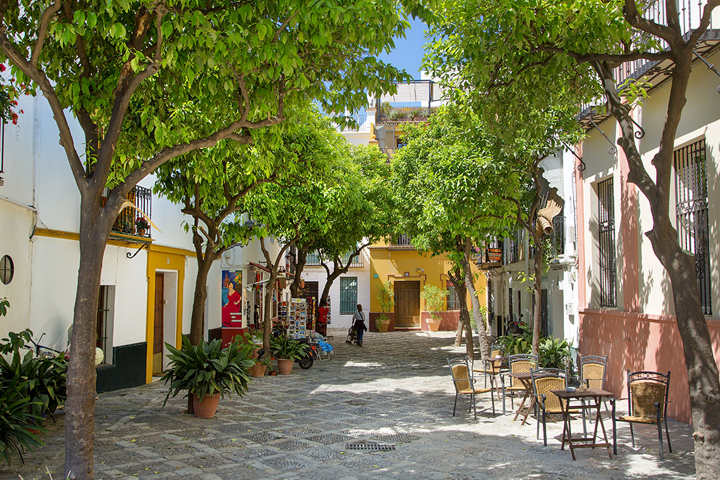 Circuit Magie au Cœur de l'Andalousie 3*, Circuit Espagne & ses îles, Andalousie, Malaga et sa région par Ôvoyages Circuit Magie au Cœur de l'Andalousie 3*, Circuit Espagne & ses îles, Andalousie, Malaga et sa région par Ôvoyages