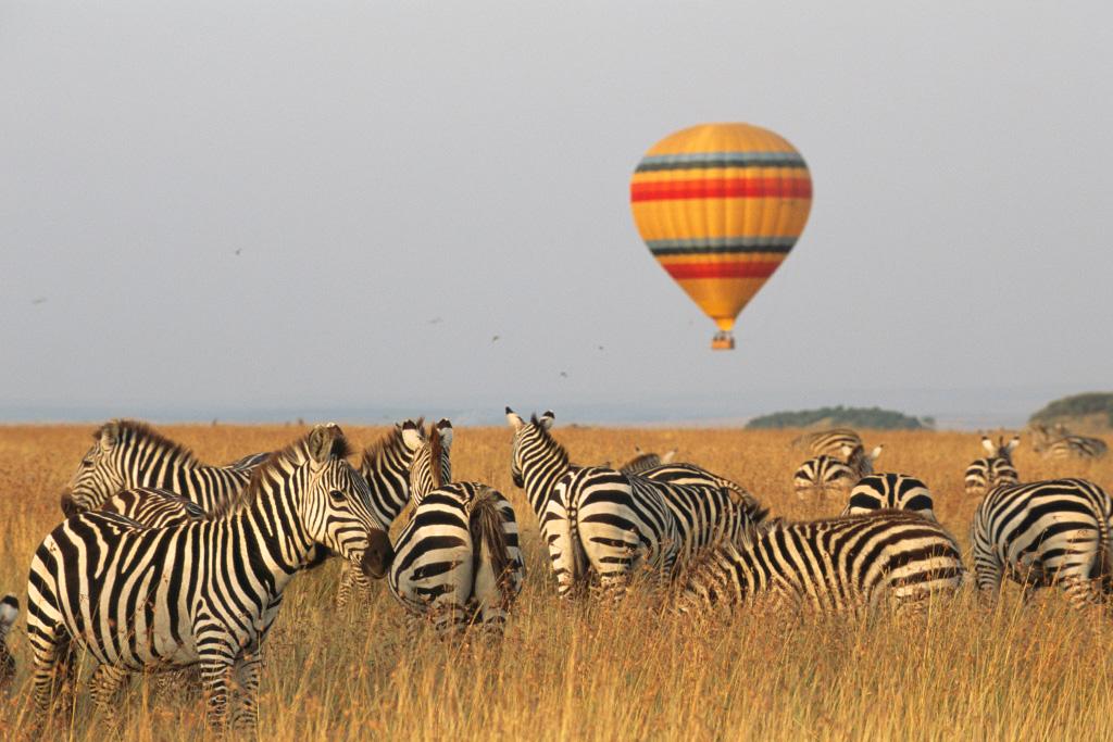 Circuit : Masai Mara, Lac Naivasha & Amboseli 3*, Circuit Kenya par Ôvoyages Circuit : Masai Mara, Lac Naivasha & Amboseli 3*, Circuit Kenya par Ôvoyages