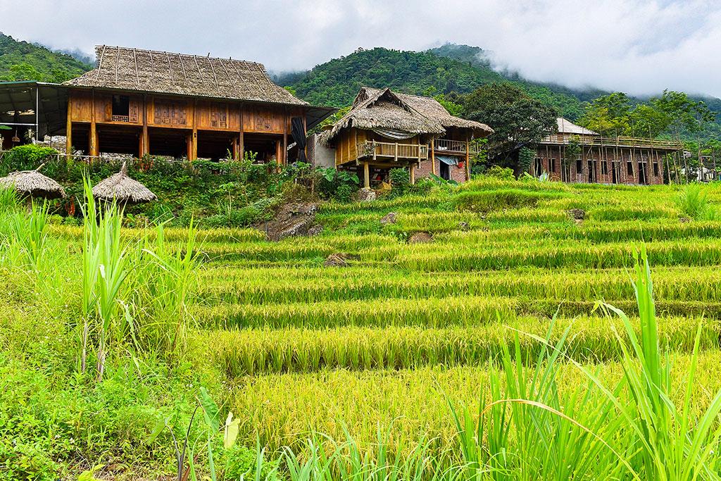 Circuit Paysages Majestueux du Vietnam et du Cambodge 16 nuits 4/5*, Séjour Cambodge par Ôvoyages Circuit Paysages Majestueux du Vietnam et du Cambodge 16 nuits 4/5*, Séjour Cambodge par Ôvoyages