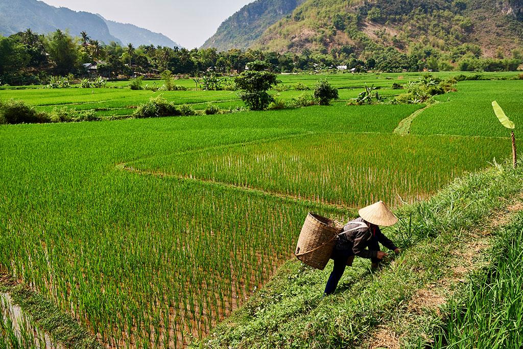 Circuit Paysages Majestueux du Vietnam 4*/5*, Circuit Vietnam par Ôvoyages Circuit Paysages Majestueux du Vietnam 4*/5*, Circuit Vietnam par Ôvoyages