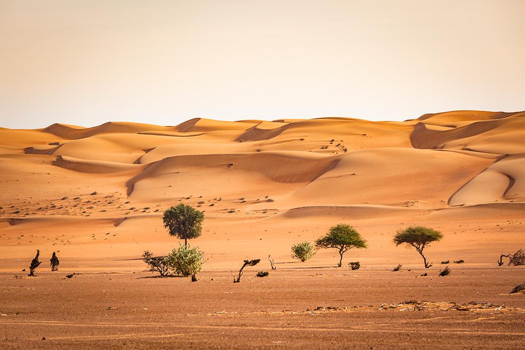 Circuit à la Découverte d'Oman, Circuit Oman par Ôvoyages Circuit à la Découverte d'Oman, Circuit Oman par Ôvoyages