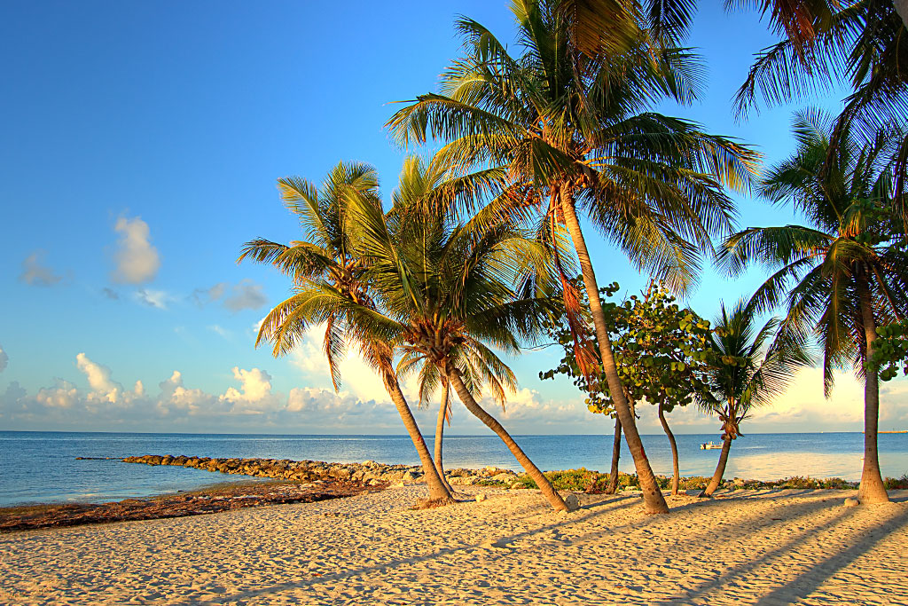 Circuit Best of Florida de Miami aux Keys 2* & 3*, Circuit Etats-Unis, Floride, Miami par Ôvoyages