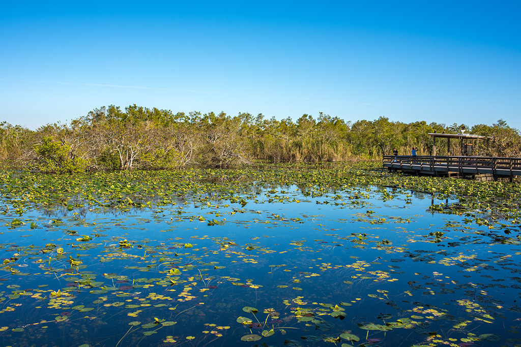 Circuit Best of Florida de Miami aux Keys 2* & 3*, Circuit Etats-Unis, Floride, Miami par Ôvoyages