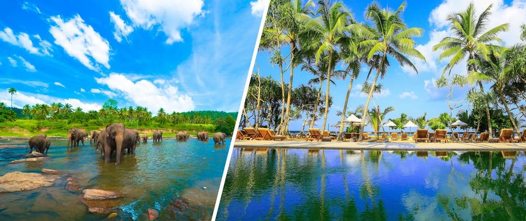 Combiné Balade Sri Lankaise privative 4n + Ôclub Experience Pandanus Beach Resort & Spa 5*