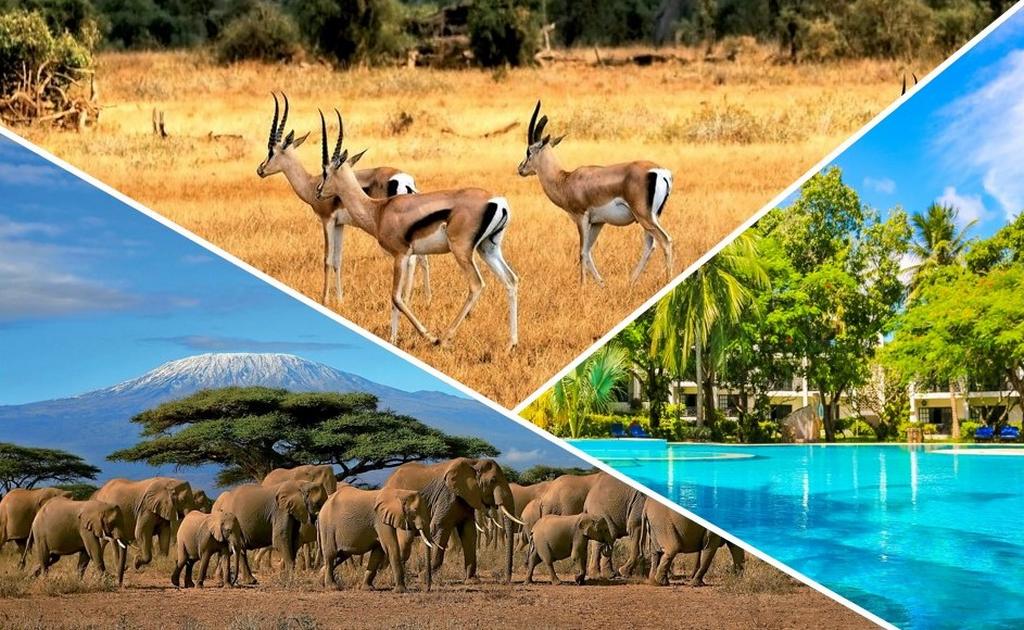 Kenya - Circuit Safari Masai Mara, Amboseli et Tsavo Est & Extension au Diani Sea Resort 4*