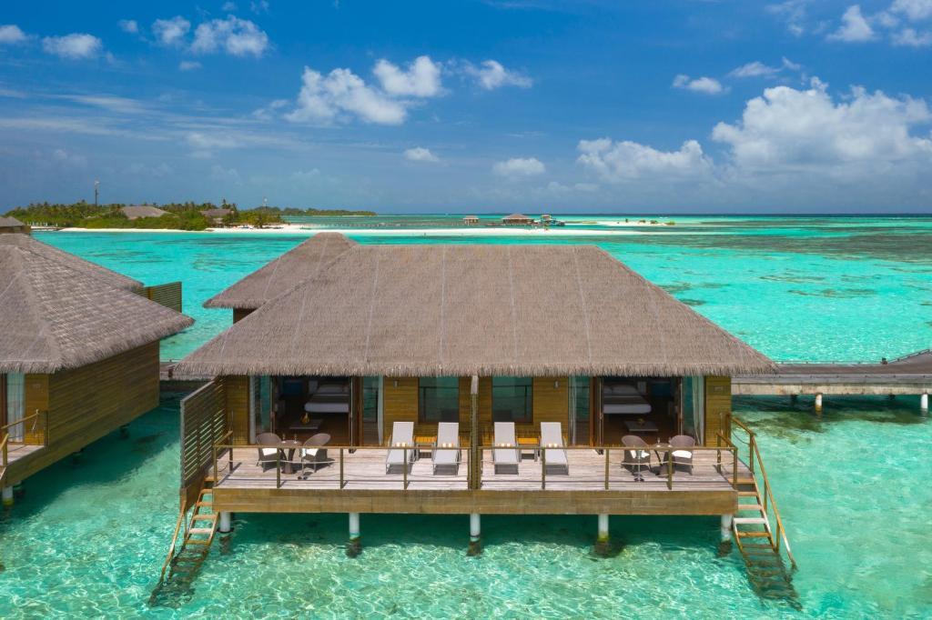 Cocoon maldives карта отеля