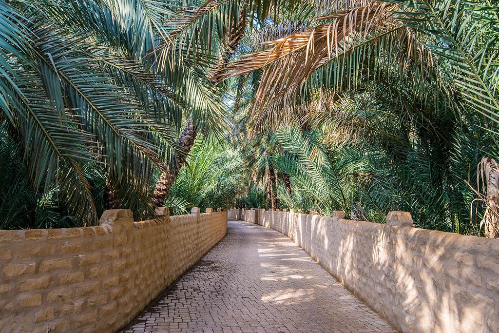 Combiné Abu Dhabi City et Al Ain Desert - 11