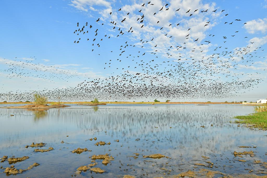 Combiné Circuit Le Sénégal Authentique 3* & Ôclub Experience African Village Bougainvillées 3*, Séjour Sénégal par Ôvoyages