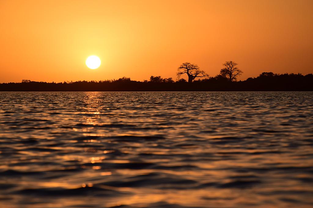 Combiné Circuit Balade Sénégalaise 3* & Ôclub Experience African Village Bougainvillées 3*, Circuit Sénégal par Ôvoyages