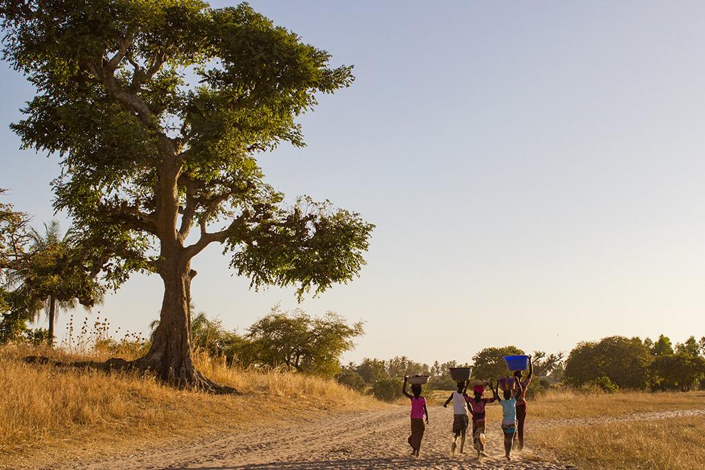 Combiné Circuit Balade Sénégalaise 3* & Ôclub Experience African Village Bougainvillées 3*, Circuit Sénégal par Ôvoyages