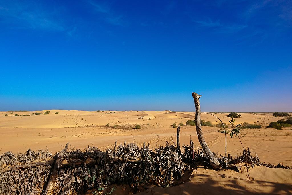 Combiné Circuit Balade Sénégalaise 3* & Ôclub Experience African Village Bougainvillées 3*, Circuit Sénégal par Ôvoyages