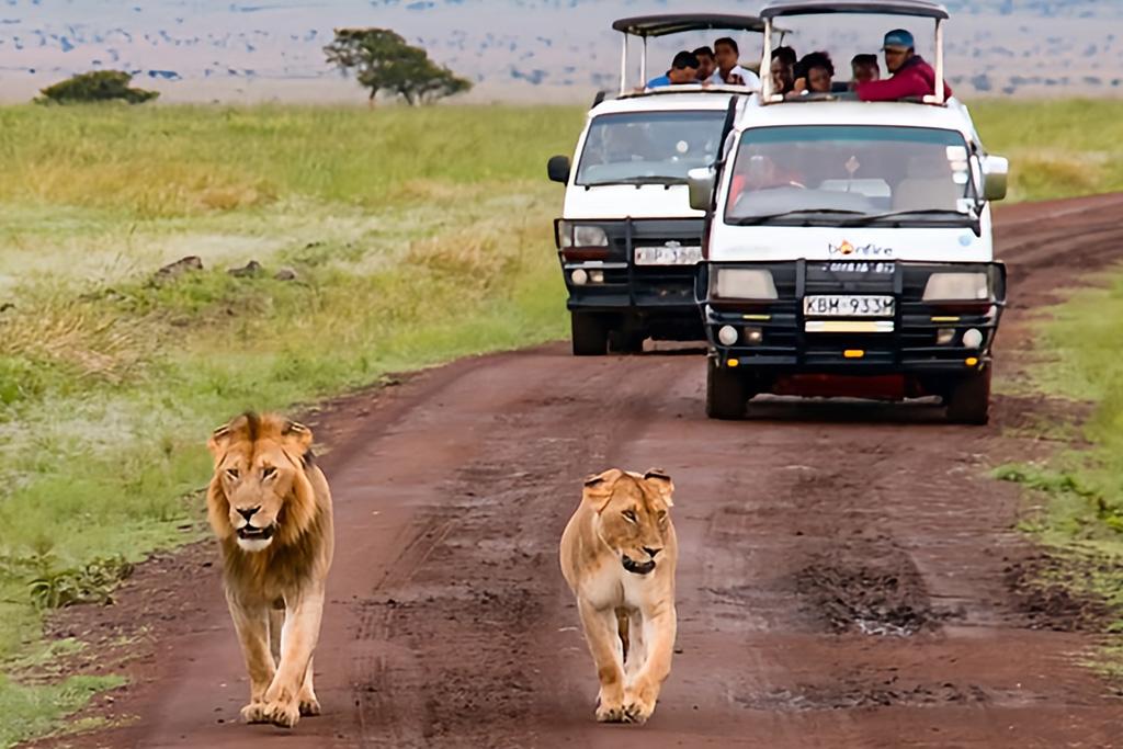 Combiné Diamonds Malindi 4* Sup + Safari Kudu Camp 2 nuits, Combiné Kenya par Ôvoyages