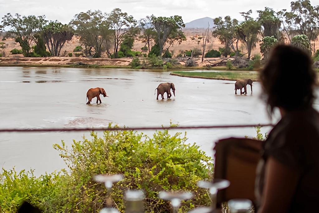 Combiné Diamonds Malindi 4* Sup + Safari Kudu Camp 2 nuits, Combiné Kenya par Ôvoyages