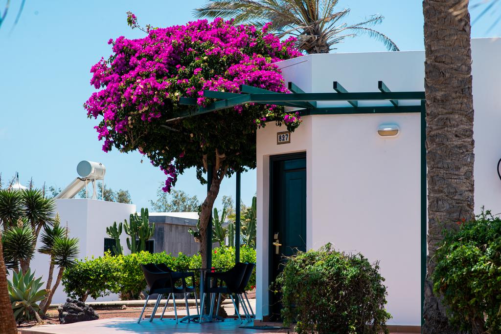 Canaries - Lanzarote - Espagne - Hôtel HL Club Playa Blanca 4*