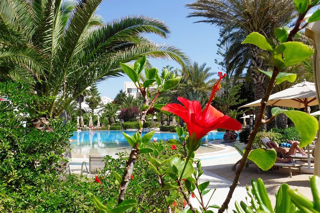 Tunisie - Hammamet - Hôtel Aziza Golf & Thalasso 4* - Adult Only