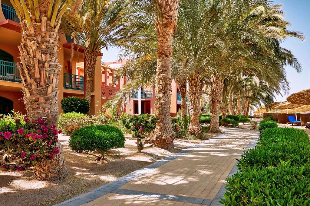 Egypte - Mer Rouge - El Gouna - Hôtel Sheraton Miramar Resort El Gouna 5*