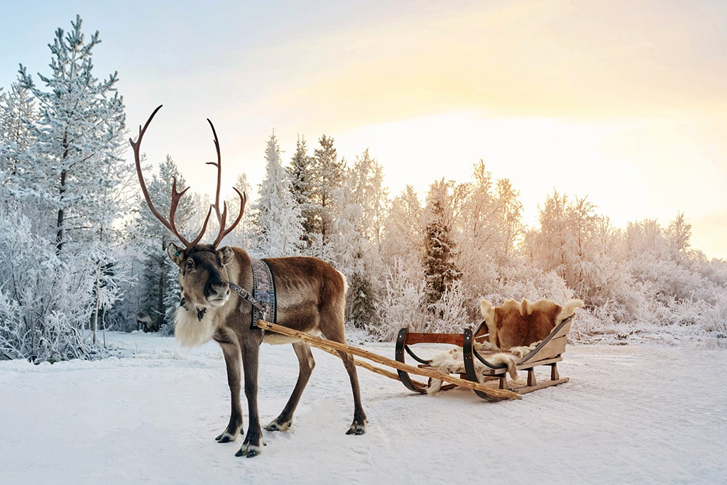 Hôtel Suomutunturi Finlande
