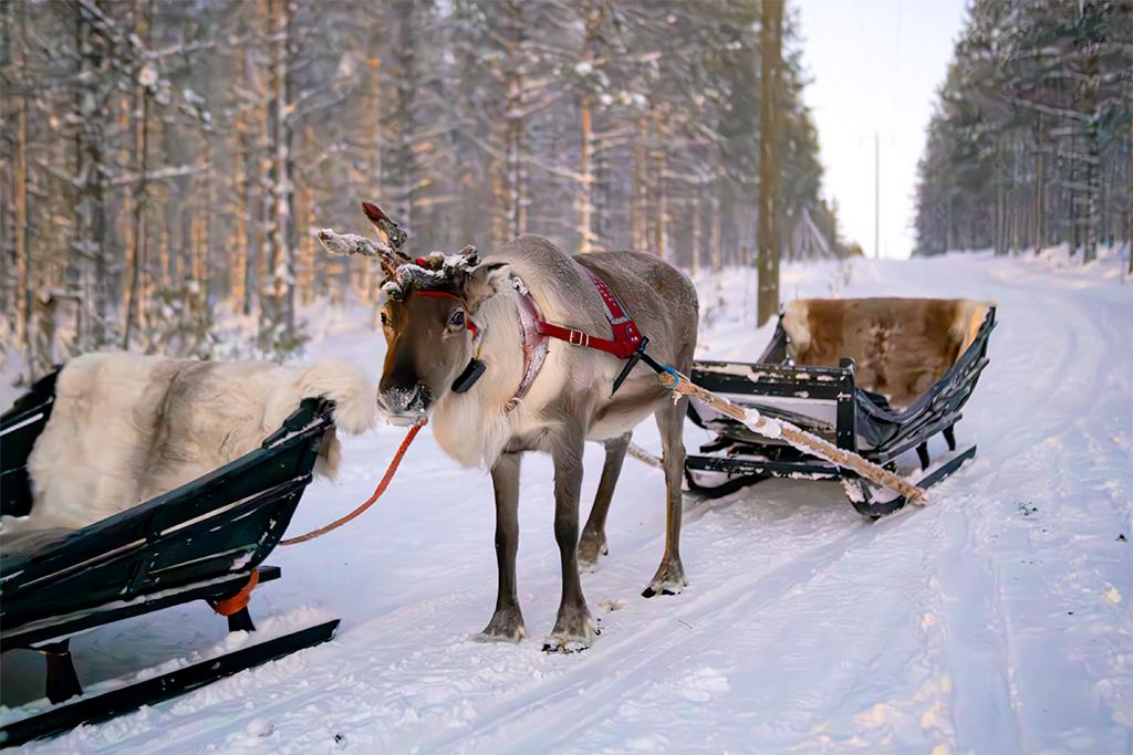 Hotel Suomutunturi 4*, Séjour Finlande par Ôvoyages Hotel Suomutunturi 4*, Séjour Finlande par Ôvoyages