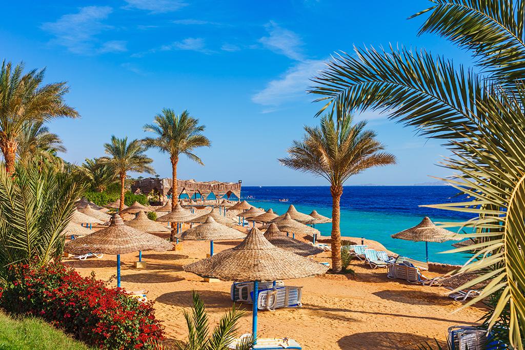 Hôtel Jaz Asteria Beach 5*, Séjour Egypte, Hurghada par Ôvoyages Hôtel Jaz Asteria Beach 5*, Séjour Egypte, Hurghada par Ôvoyages