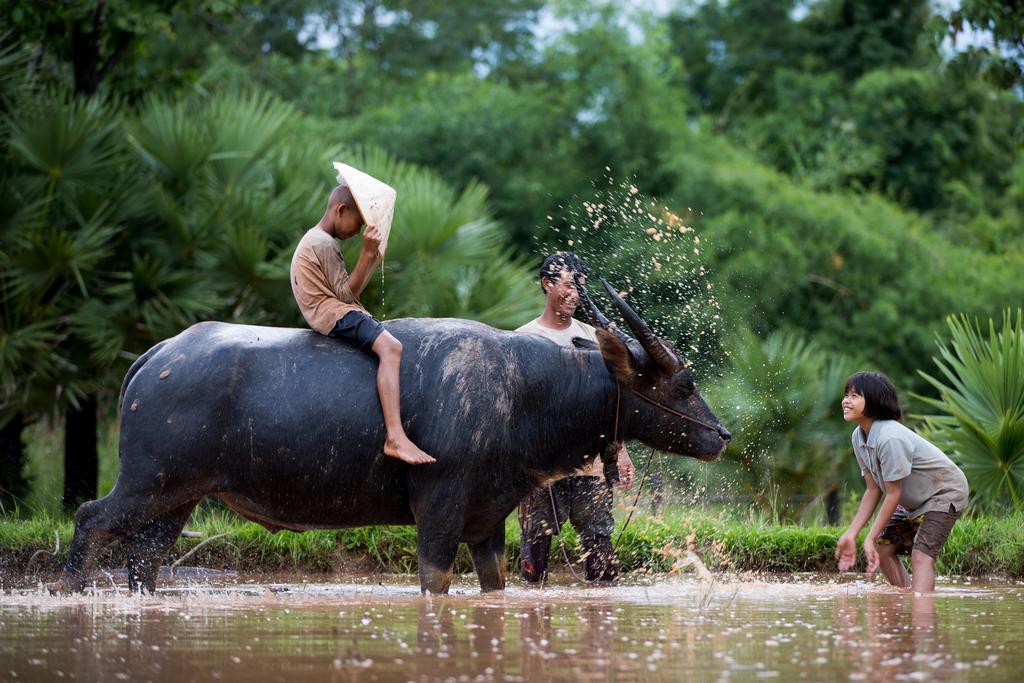 Vietnam - Circuit Merveilles du Vietnam + Extension Mui Ne 4/5* - Vente Flash