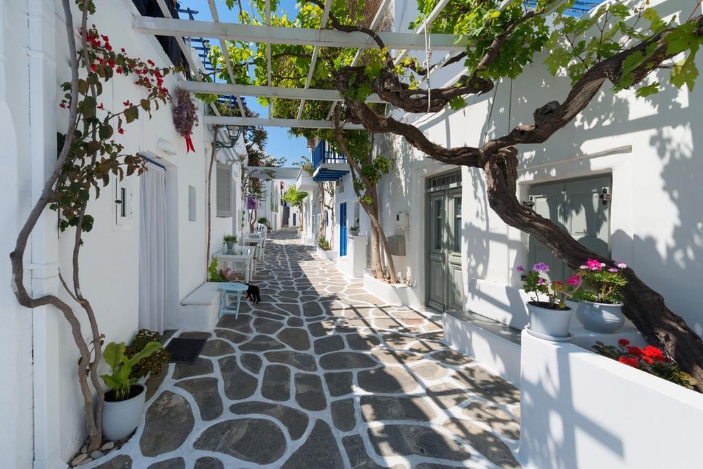 Grèce - Iles grecques - Les Cyclades - Mykonos - Paros - Santorin - Balade dans Les Cyclades - Mykonos, Paros & Santorin Hôtels 3* ou 4*